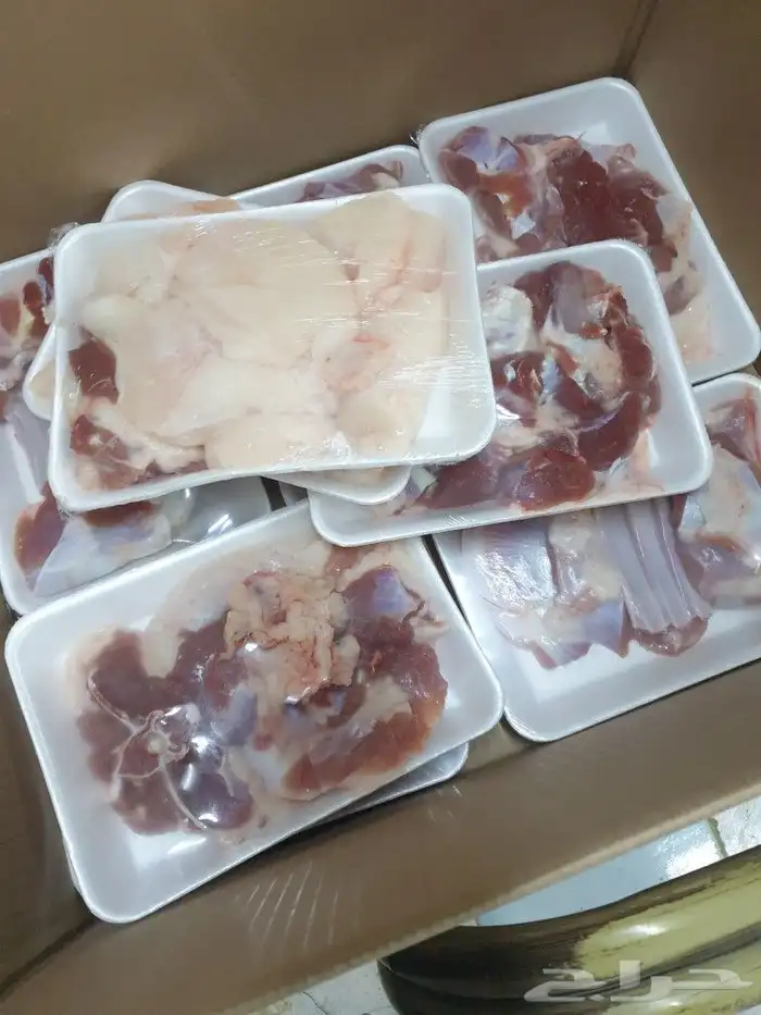 لباب البيت حريات فاخره وسواكني تيوس عوارض 16