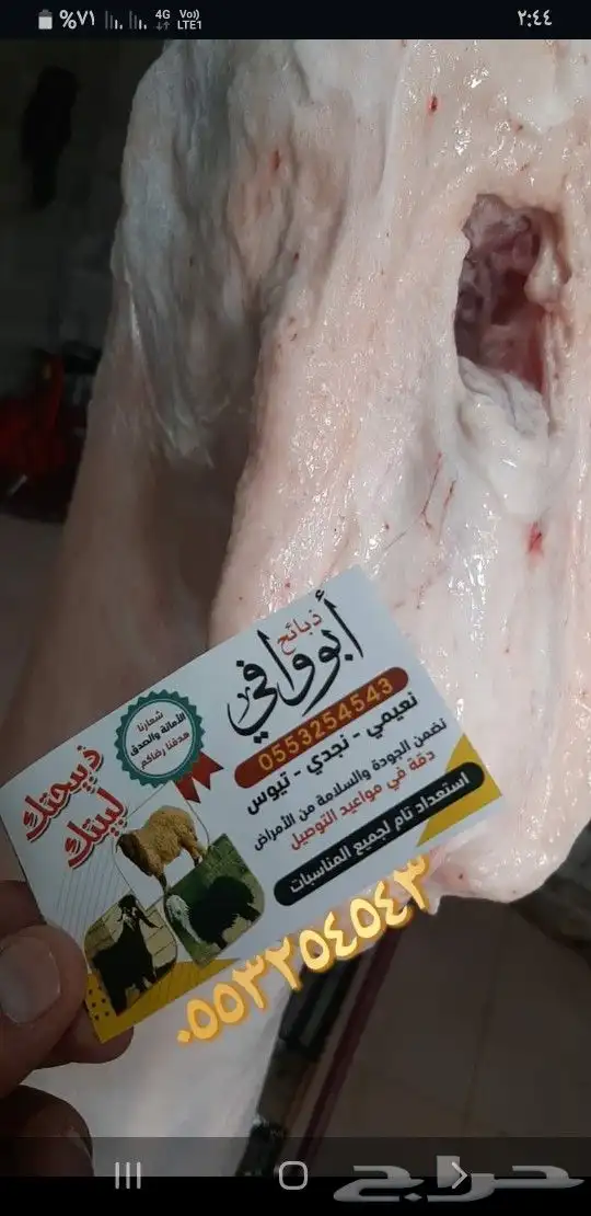 ذبايح هرافي وتيوس 9