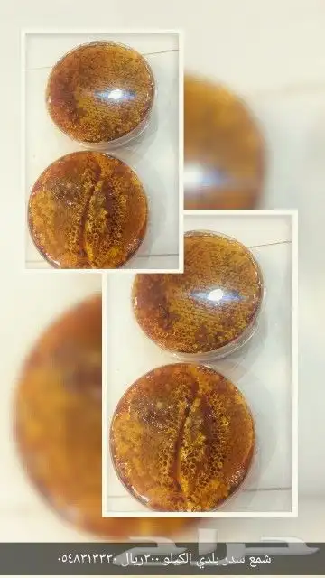 عسل بجميع أنواعه و زيت الجوف وزيت فلسطيني 9