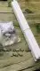 للبيع مستلزمات طيور جديده 4