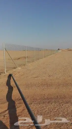 مقاول نخيل وشبوك المزارع بانوعها 1