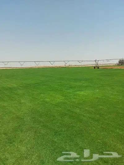 ثيل طبيعي C2000 0