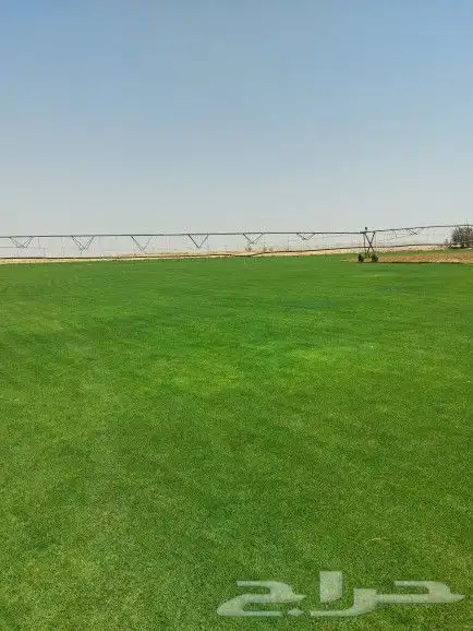 ثيل طبيعي C2000 0