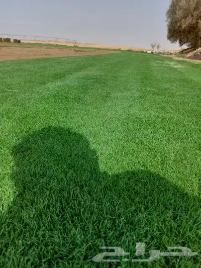 ثيل طبيعي C2000 9