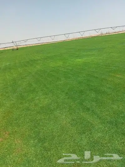 ثيل طبيعي C2000 7