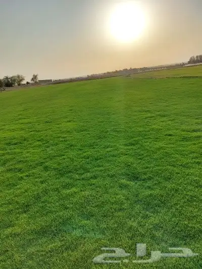 ثيل طبيعي C2000 2
