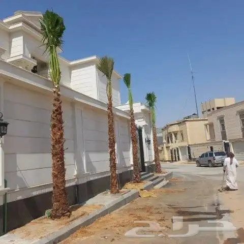 مقاول نخيل وشبوك المزارع بانوعها 10