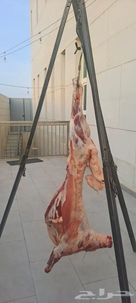 معلم مشاوي في الموقع 1