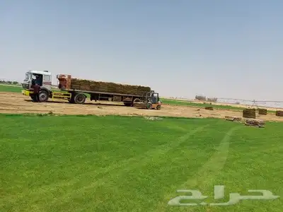 ثيل طبيعي C2000 1