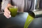 زيت زيتون فلسطيني بكر بعل لكل أرجاء السعودية 30
