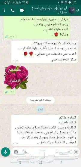 زيت زيتون فلسطيني بكر بعل لكل أرجاء السعودية 74