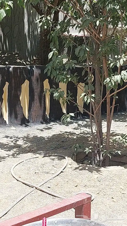 لنحت الأشجار واحواض الزراعه 14