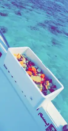 رحلات بحريه صيد سباحه بياضه 9