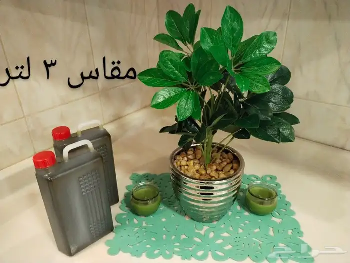 زيت زيتون فىسطيني بكر بعل لكل أرجاء السعودية 41