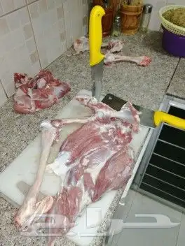 ملك المشاوي شيف عماد شوي خارجي مشاوي أستراحات 39