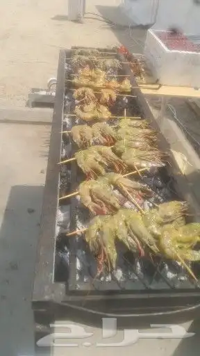 ملك المشاوي شيف عماد شوي خارجي مشاوي أستراحات 25