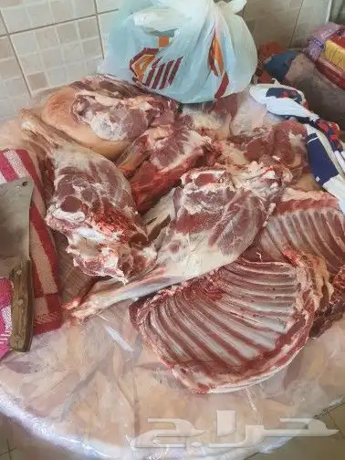 ملك المشاوي شيف عماد شوي خارجي مشاوي أستراحات 52