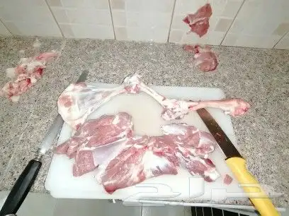 ملك المشاوي شيف عماد شوي خارجي مشاوي أستراحات 31
