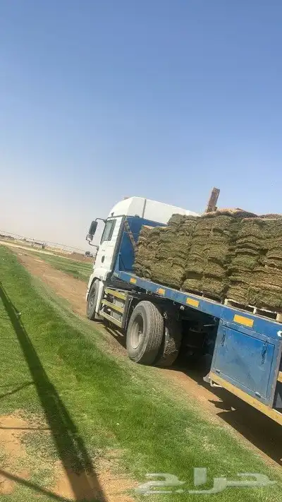 ثيل طبيعي c2000 4