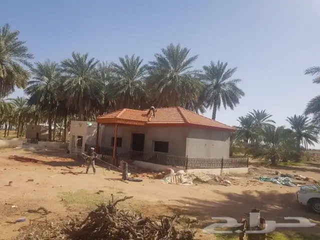 ساجر المزرعه في أول طريق القصيم 0