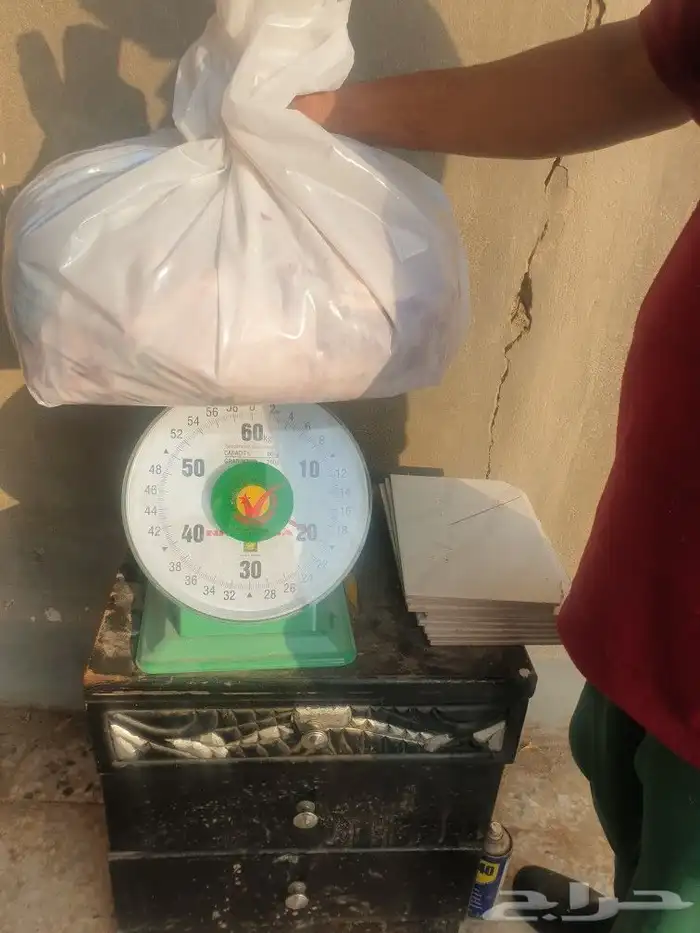 طليان ذبايح حريات فاخره وسواكني 20