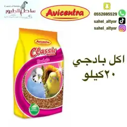 اكل ببغاء اكل طيور كاسكو بادجي كروان روز كنيور بلوفرنتد مكاو 7