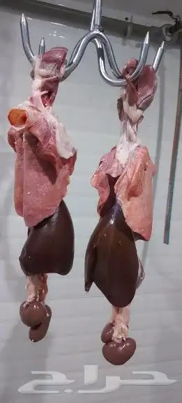 مطعم الخير يقدم خاروف مشوي على الجمر.. 8