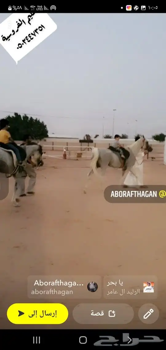 تدريب ركوب الخيل 3
