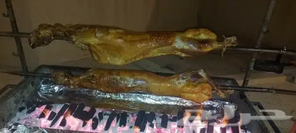 مطعم الخير يقدم خاروف مشوي على الجمر.. 19