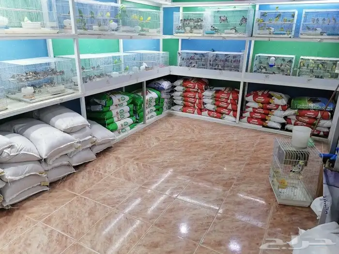 مستلزمات طيور وقطط واسماك 1