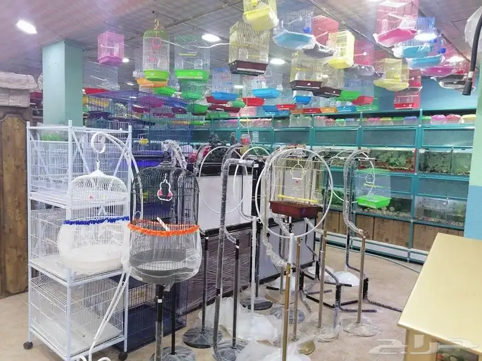 مستلزمات طيور وقطط واسماك 10