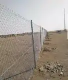 يوجد لد ينا جميع انوع النخل العربي ولاوشنطني 11
