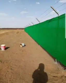 يوجد لد ينا جميع انوع النخل العربي ولاوشنطني 8