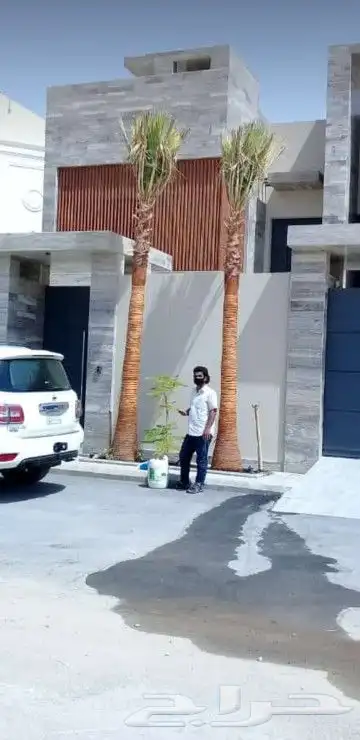 نخيل واشنطن ونخل عربي وتنسيق الحدائق 0