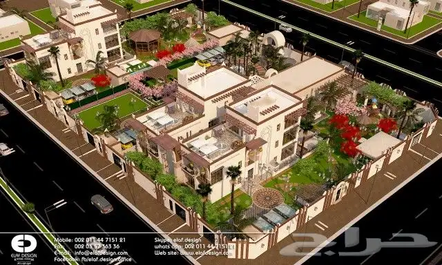 نخيل واشنطن ونخل عربي وتنسيق الحدائق 2