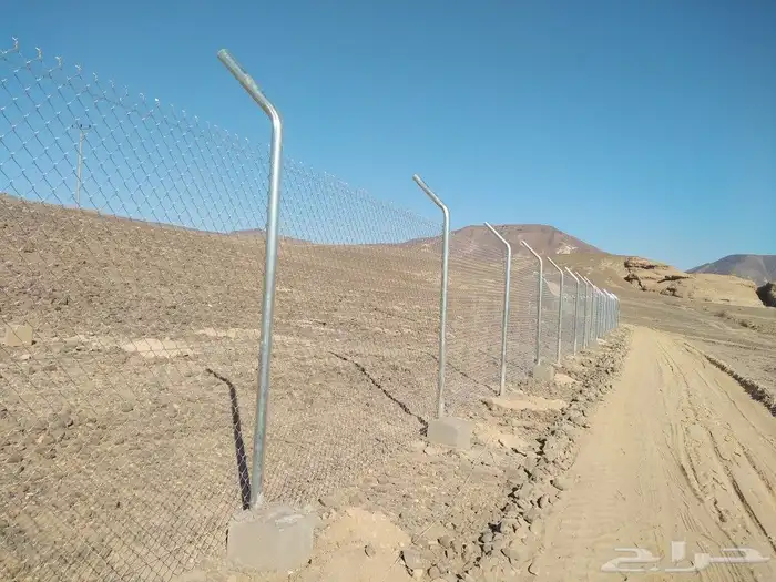 الرياض الرياض 24