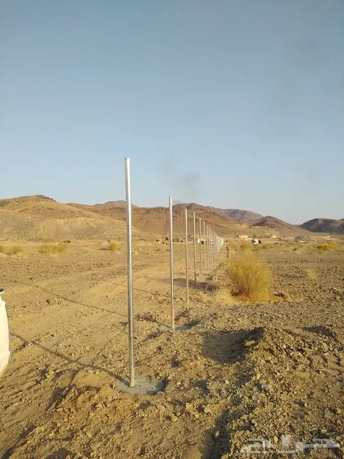 الرياض الرياض 31