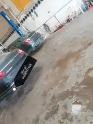 دودة دركسيون 7