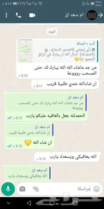 صدور دجاج خاليه من العظم والجلد 2