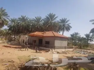 مزراع ساجر 1