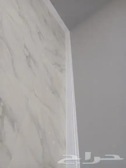 فني باركية 1