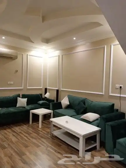 فني باركية 13