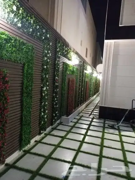 فني باركية 6