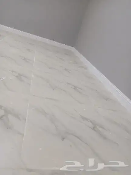 فني باركية 2