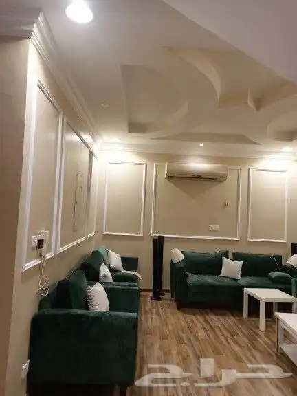 فني باركية 12