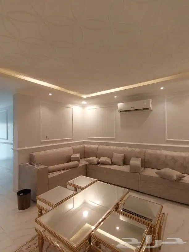 فني باركية 22