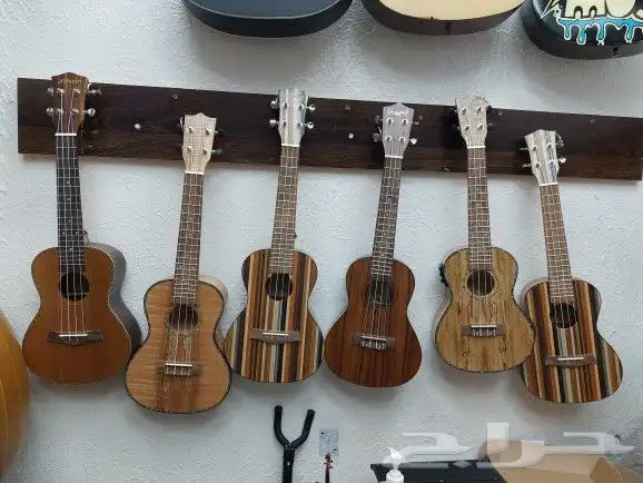 يوكليلي آلات موسيقية أعواد جيتار طبل دفوف 13