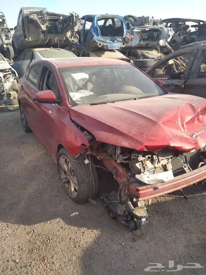 جيلي بنراي 2021 1