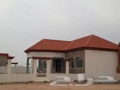 الرياض عفيف 7