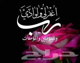 يوجد لدينا نحل بلدي وعسل طبيعي ومستلزماتها 9